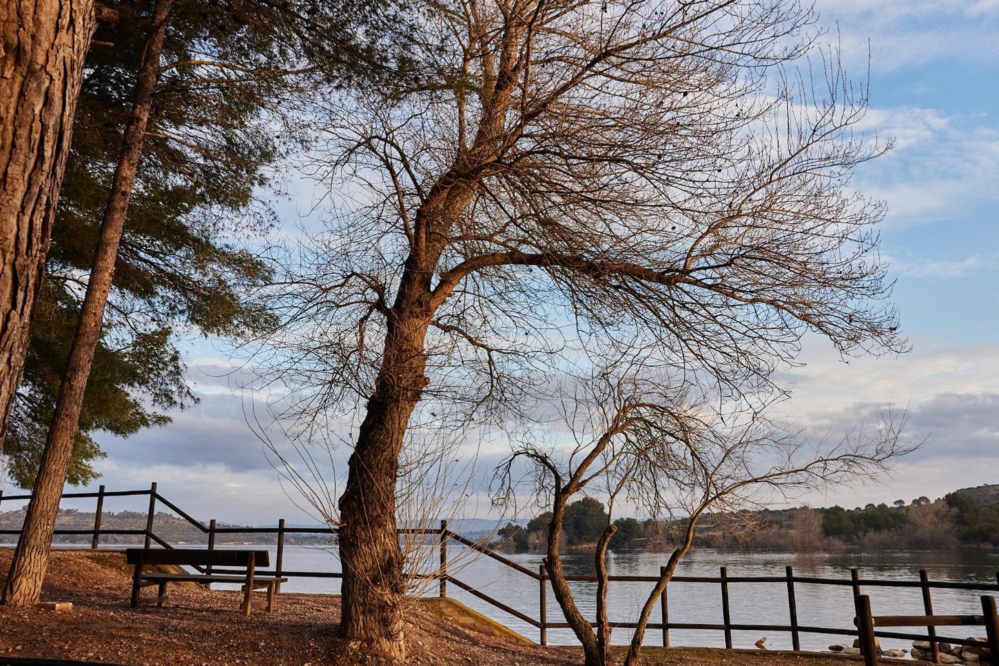 Taiga Lake كاسبي المظهر الخارجي الصورة